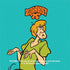 Scooby Doo Shaggy Nintendo 2DS XL (2017) Skin